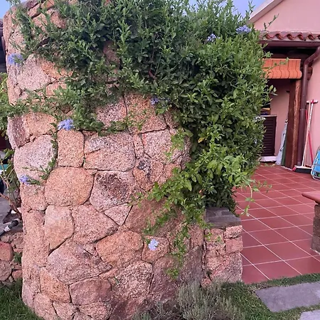 Am * San Teodoro (Sardinia)