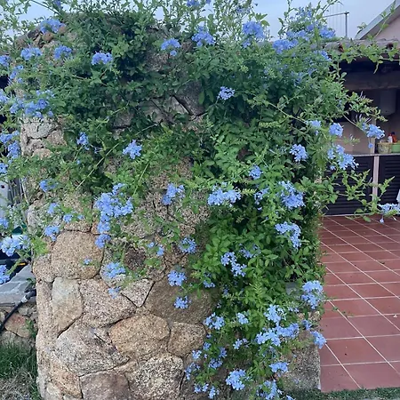 Am * San Teodoro (Sardinia)